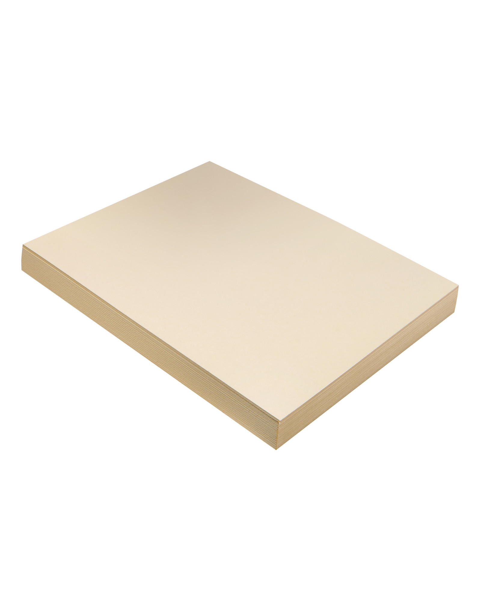 TAGBOARD - 9x12 HEAVY WEIGHT - MANILA 100 SHEETS