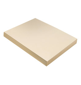 TAGBOARD - 9x12 HEAVY WEIGHT - MANILA 100 SHEETS