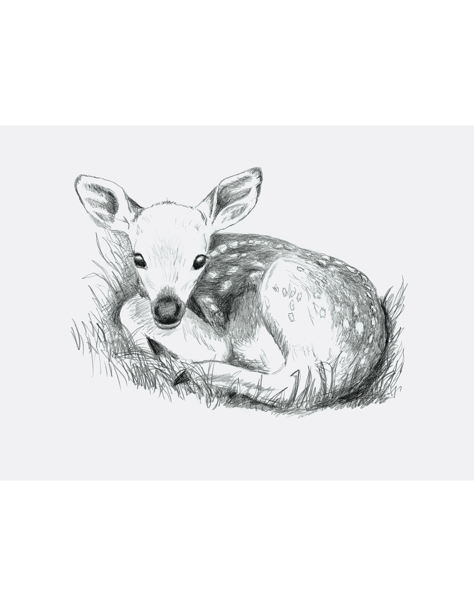 SKETCH BOOK: 11x14 MED WGHT