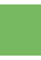 PLASTIC POSTER: LIME GREEN