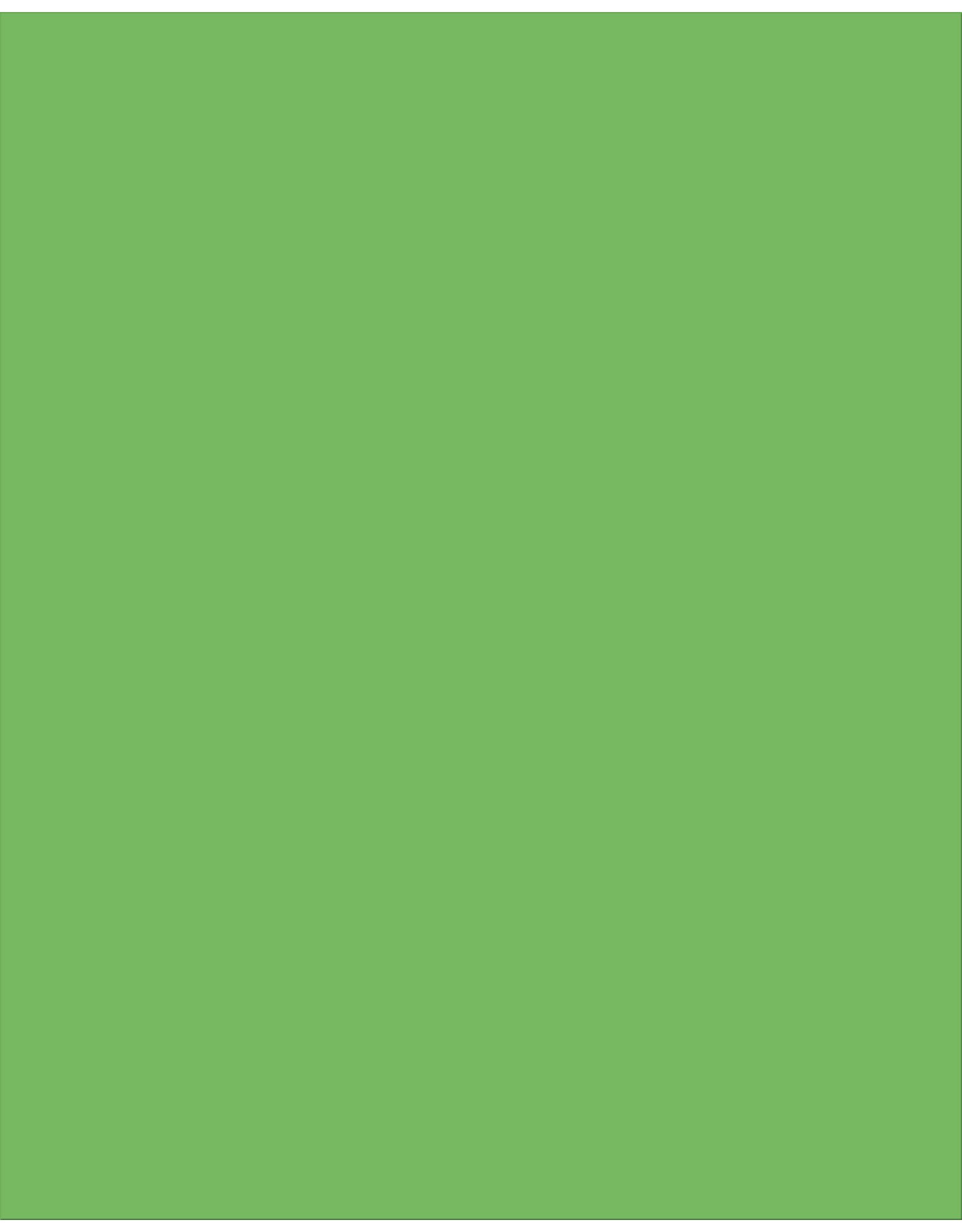 PLASTIC POSTER: LIME GREEN