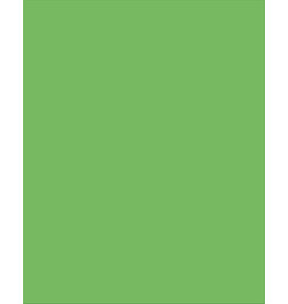 PLASTIC POSTER: LIME GREEN