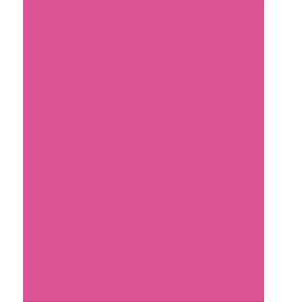 PLASTIC POSTER: NEON PINK