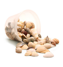SEA SHELLS - 5OZ - NATURAL MIX