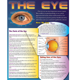 CHART: OUR AMAZING EYES