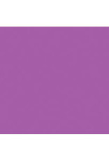 FOAM SHEET: 2MM, 12x18 PURPLE