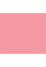 FOAM SHEET: 2MM, 12x18 PINK