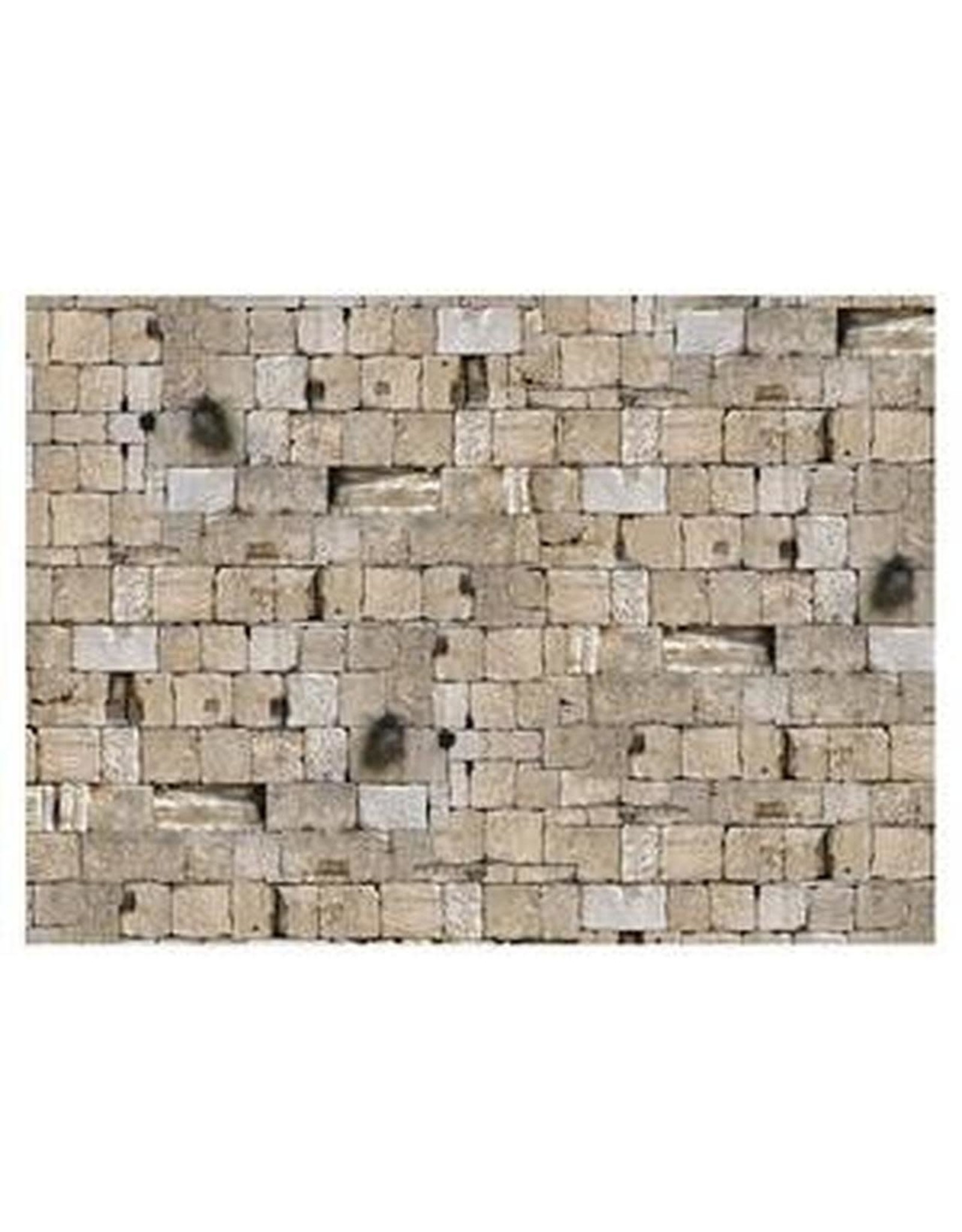 PICTURE OAK TAG:  22X28  YERUSHALAYIM STONE, WITH GREENERY