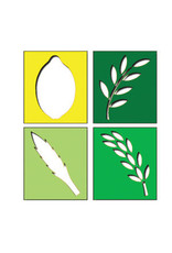 STENCIL: SUKKOS 4 MINIM