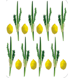 RANENU STICKERS: LULAV & ESROG SET - 6 SHEETS