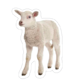 CUT OUT: LAMB - 2 3/4”x 2 1/4” - 20 PACK