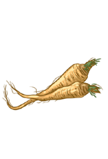 CUT OUT: MARROR - 3" - 20 PACK