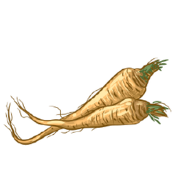 CUT OUT: MARROR - 3" - 20 PACK