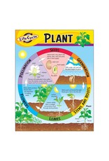 CHART: PLANT