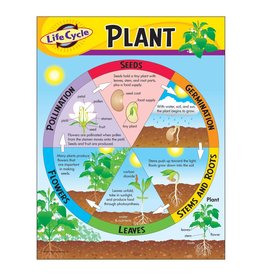CHART: PLANT