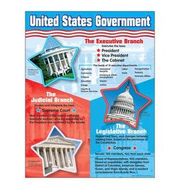 LEARNING CHART - U.S. GOVERNMENT 17"X22"