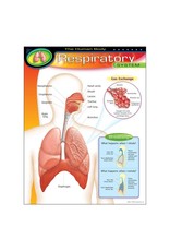 CHART: RESPIRATORY SYSTEM 17"X22"