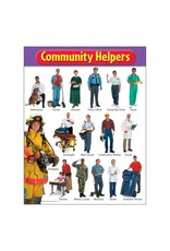 POSTER COMMUNITY HELPER
