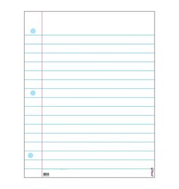 Wipe-off Chart Notebook Paper 22"X28"
