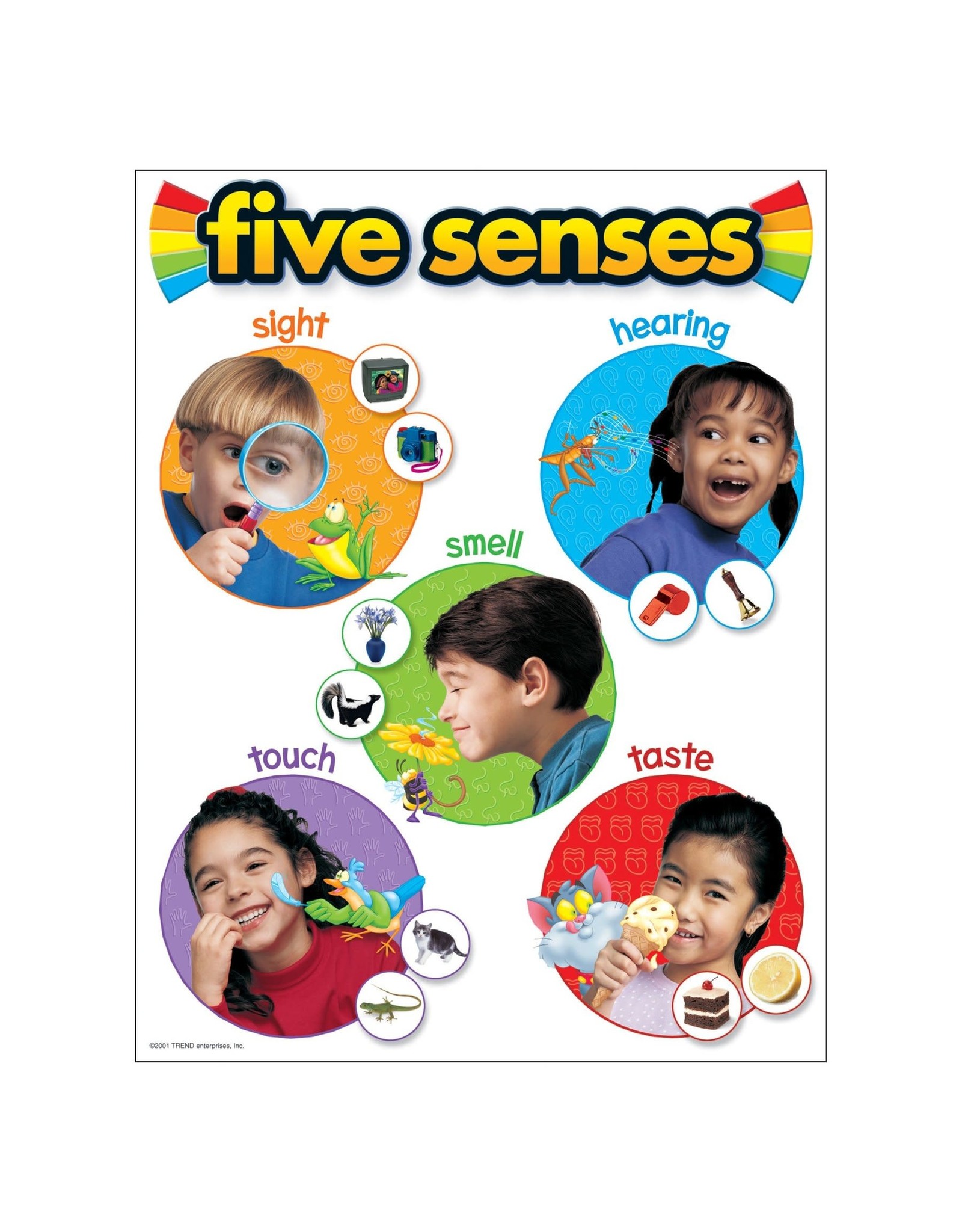 CHART: FIVE SENSES
