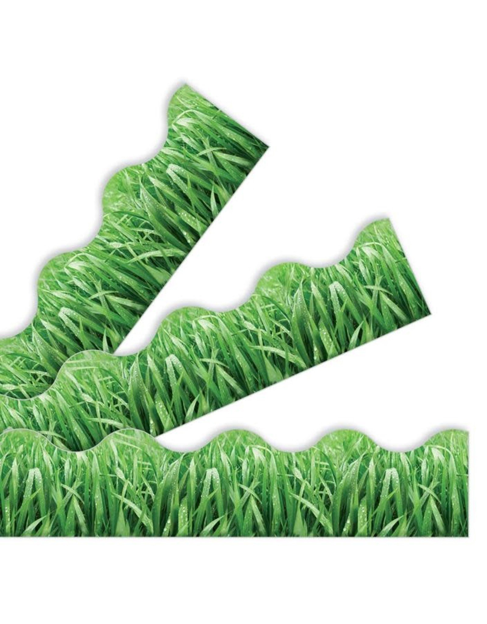 Trend Enterprises SCALLOPED  BORDERS 2¼"X39', GRASS