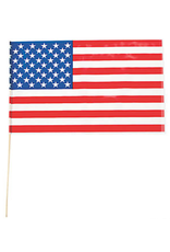 Oriental Trading USA FLAG 18in x 11in Plastic Stick