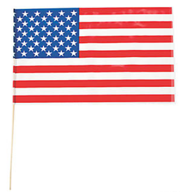 Oriental Trading USA FLAG 18in x 11in Plastic Stick