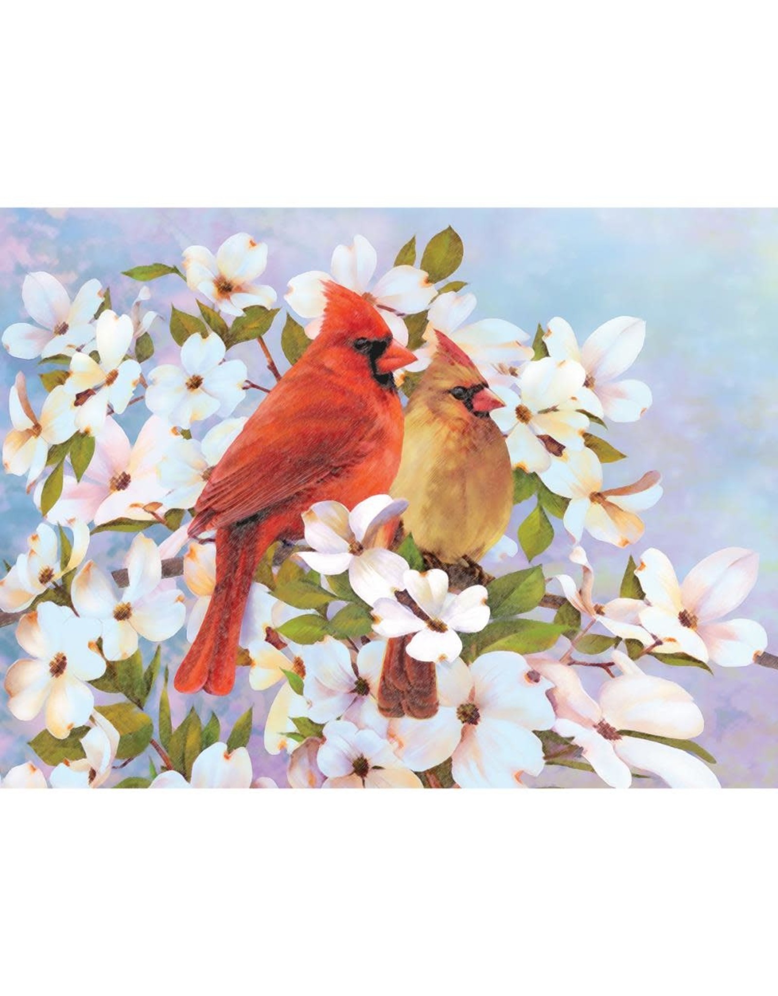 COLOR BY NUMBER - CARDINALS