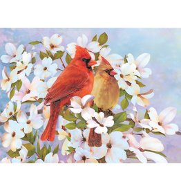 COLOR BY NUMBER - CARDINALS