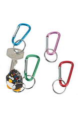 LARGE METALLIC CLIP