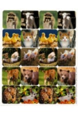 EUREKA STICKERS: THEME BABY ANIMALS PHOTO