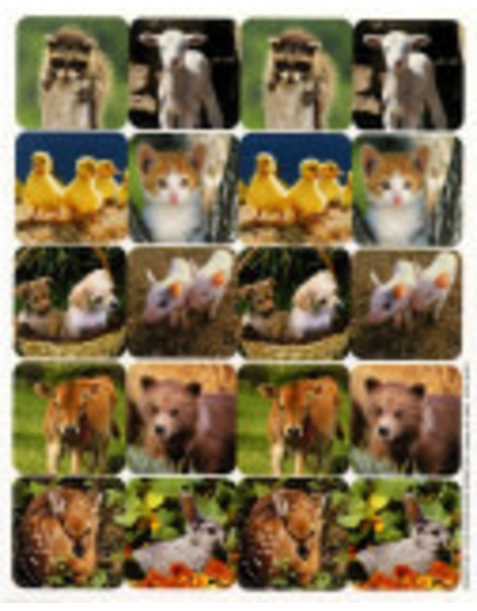 EUREKA STICKERS: THEME BABY ANIMALS PHOTO