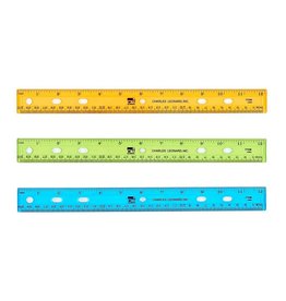 RULER PLASTIC 12"