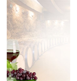 COMPUTER DESIGN PAPER: WINE BARRELS 8.5X11  10 SHEETS