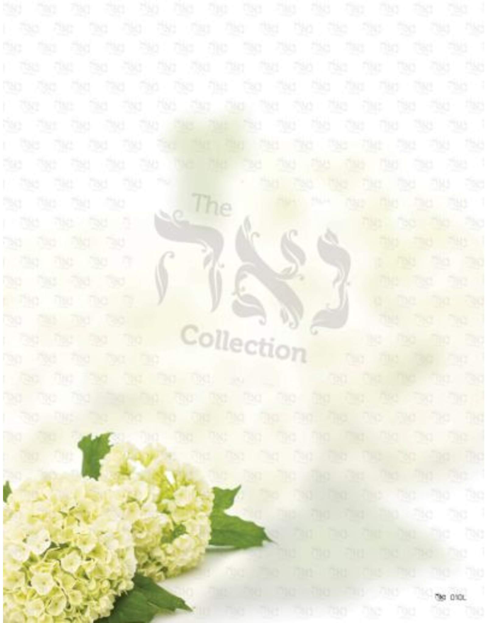 COMPUTER DESIGN PAPER: WINTER HYDRANGEAS 8.5"X11" 10 SHEETS