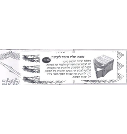 CRAFT: 3D SUKKAH PROJECT 36 SETS