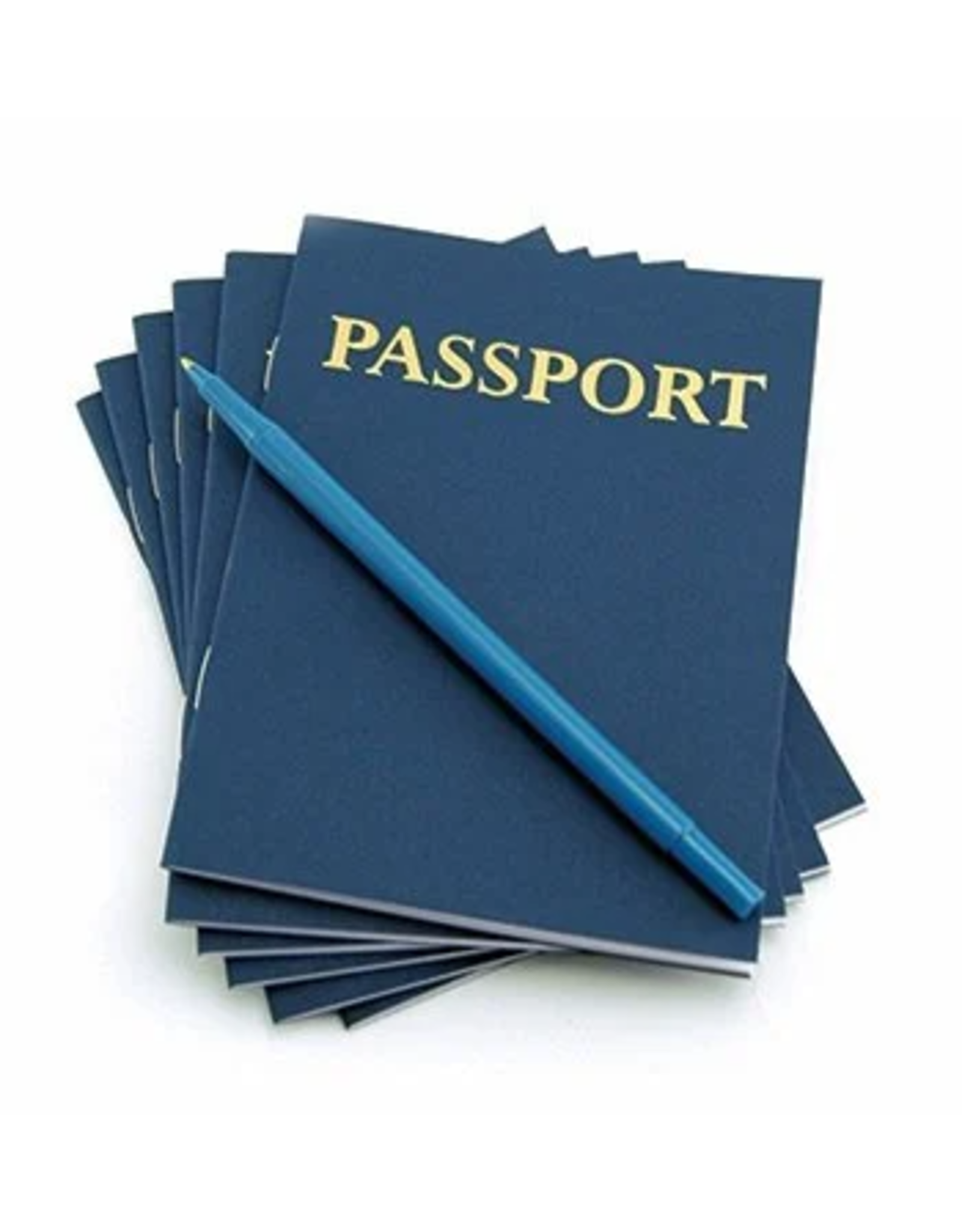 PASSPORT BOOKS: BLANK - 10 PACK