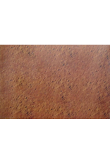 PICTURE OAK TAG:  22X28   SOIL BACKROUND