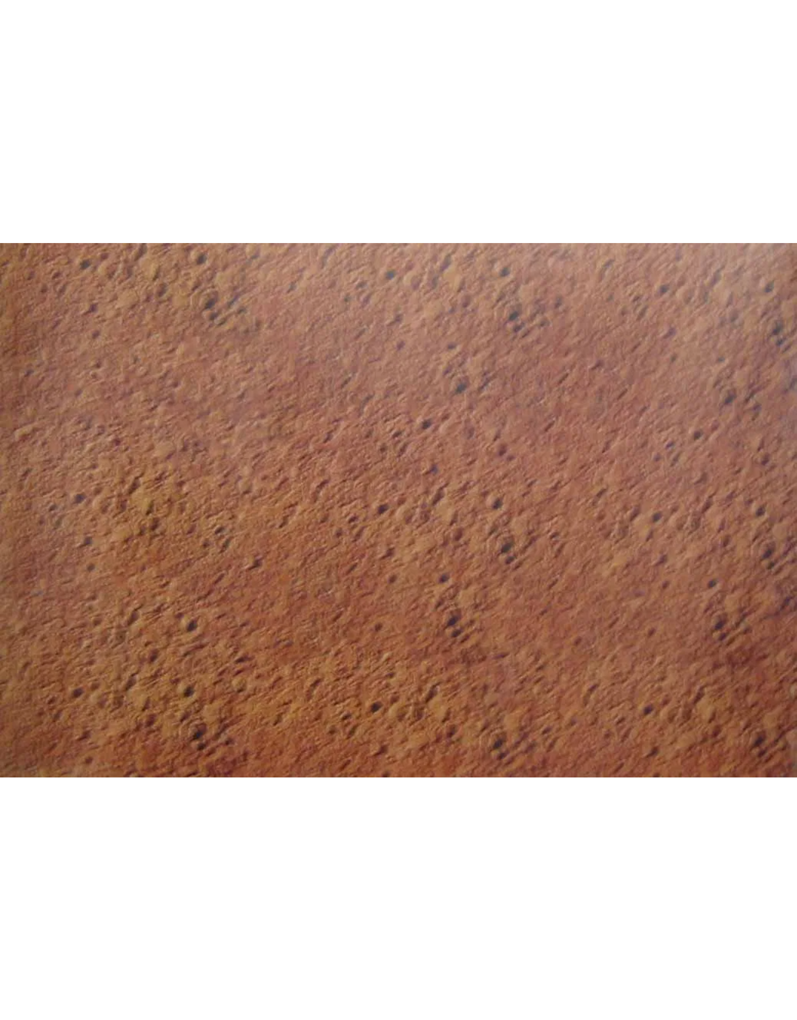 PICTURE OAK TAG:  22X28   SOIL BACKROUND