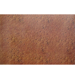 PICTURE OAK TAG:  22X28   SOIL BACKROUND