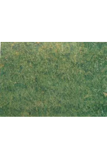 PICTURE OAK TAG:  22X28   GRASS BACKGROUND