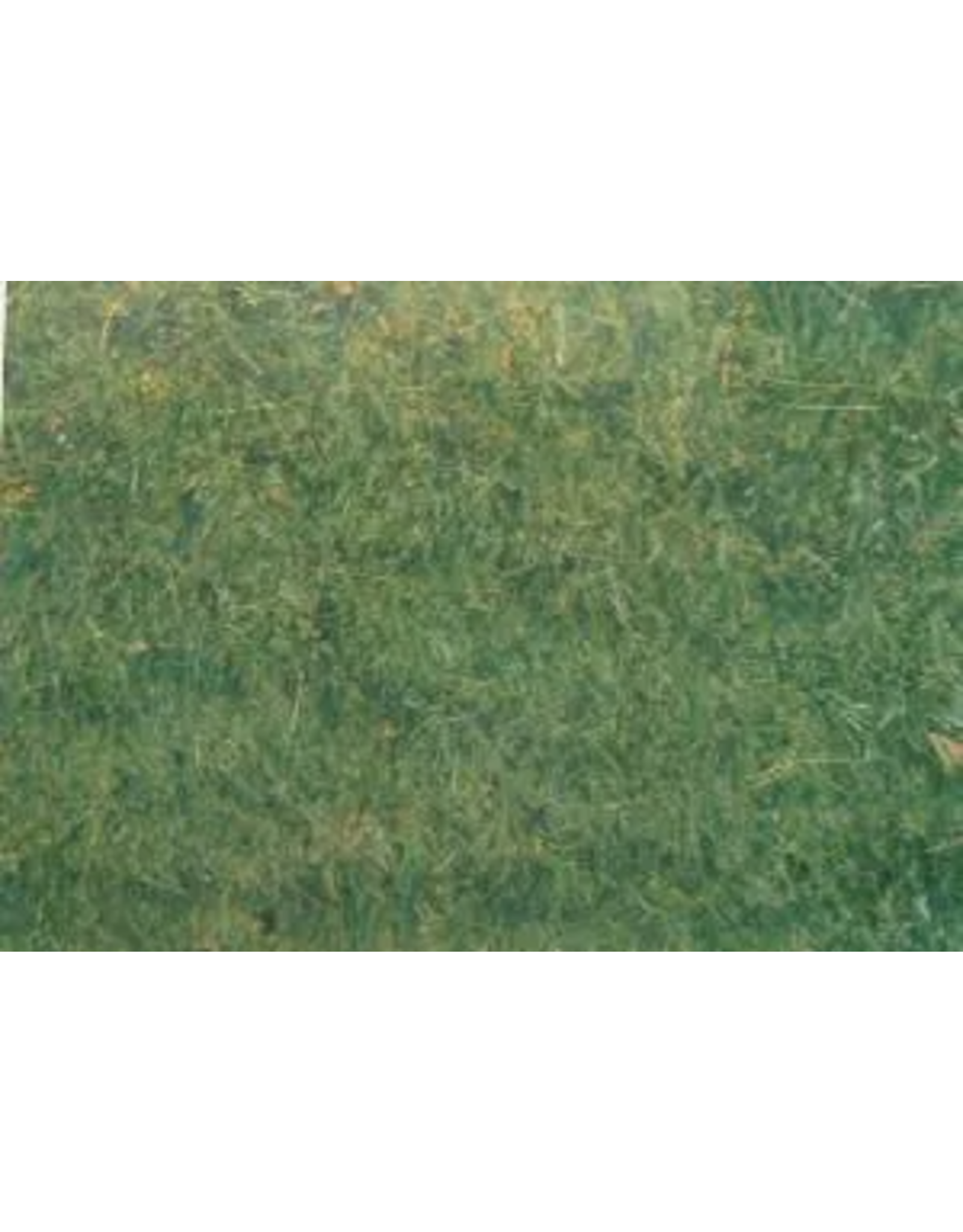 PICTURE OAK TAG:  22X28   GRASS BACKGROUND
