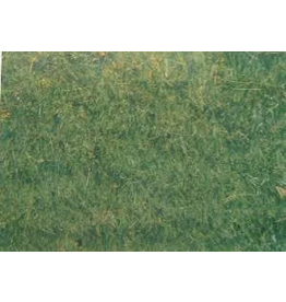 PICTURE OAK TAG:  22X28   GRASS BACKGROUND