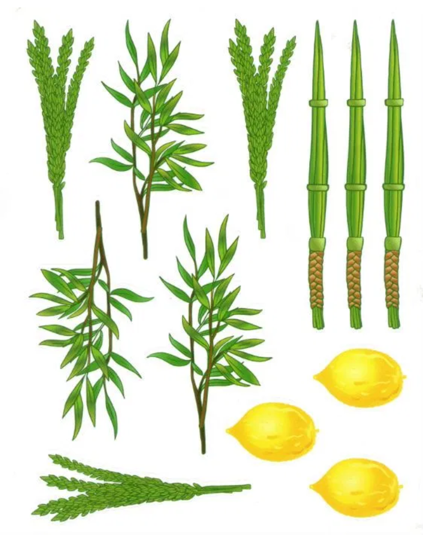 STICKERS: LULAV AND ESROG DRAWN