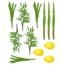 STICKERS: LULAV AND ESROG DRAWN