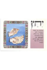 SIMANEI LAIL SEDER BOOKLET