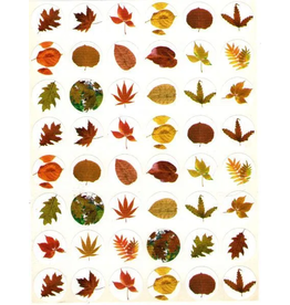 STICKERS: FALL LEAVES 10 SHEETS