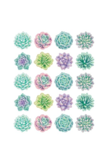 STICKERS: RUSTIC SUCCULENTS
