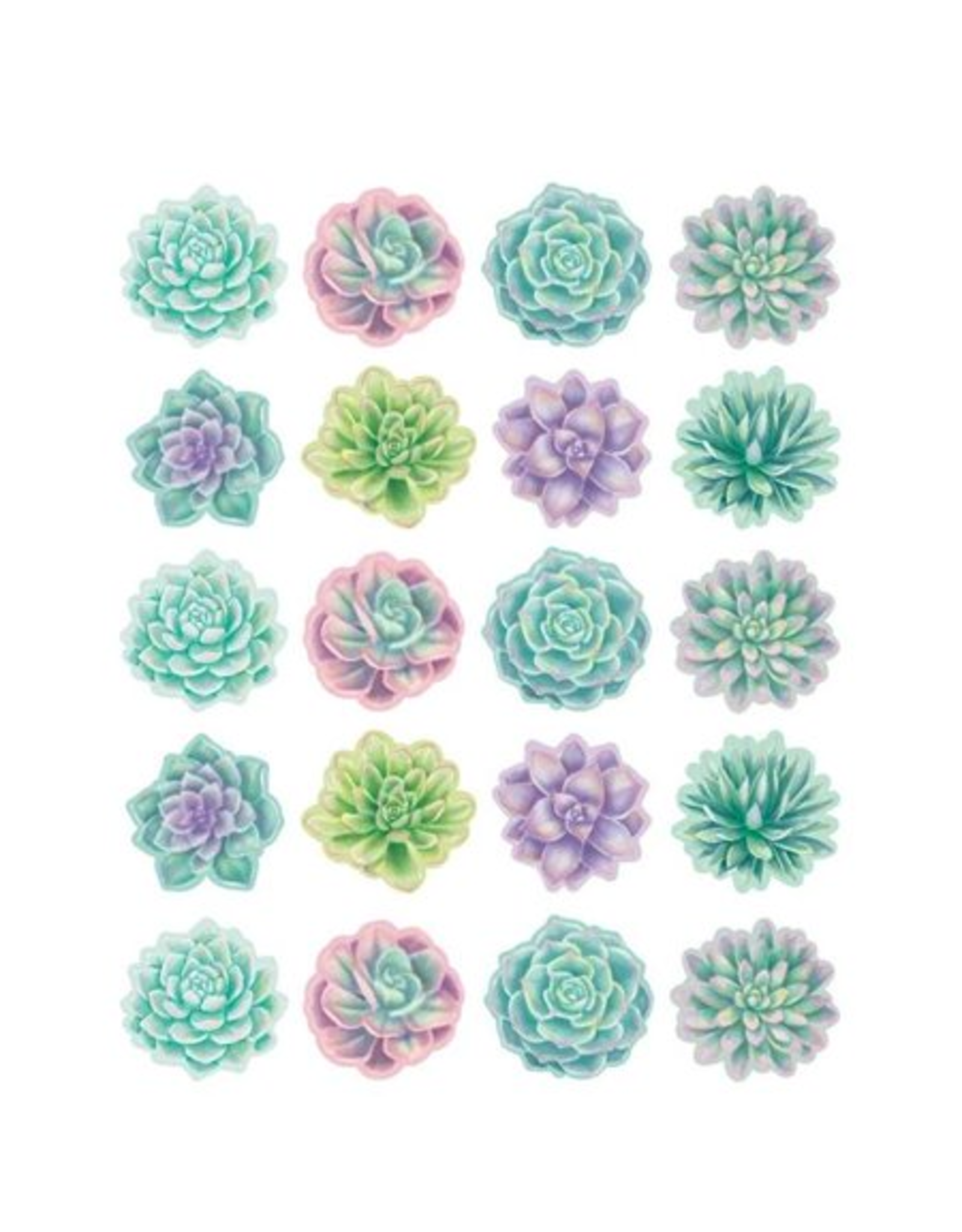 STICKERS: RUSTIC SUCCULENTS