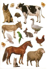 STICKERS: FARM ANIMALS 10 SHEETS